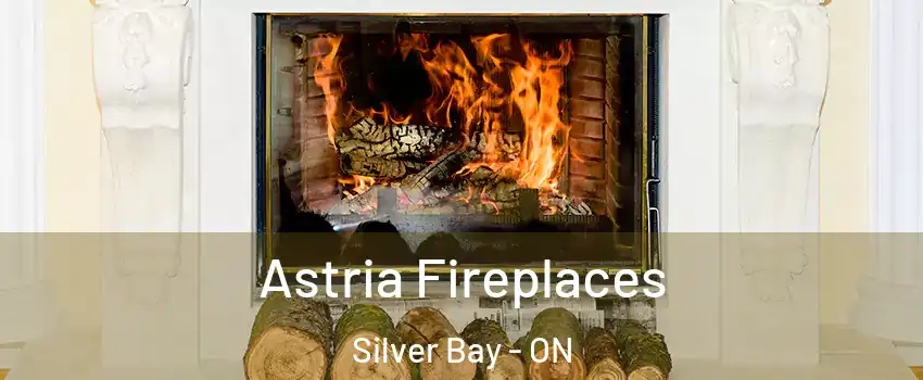 Astria Fireplaces Silver Bay - ON