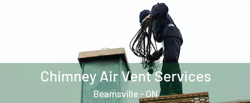 Chimney Air Vent Services Beamsville - ON