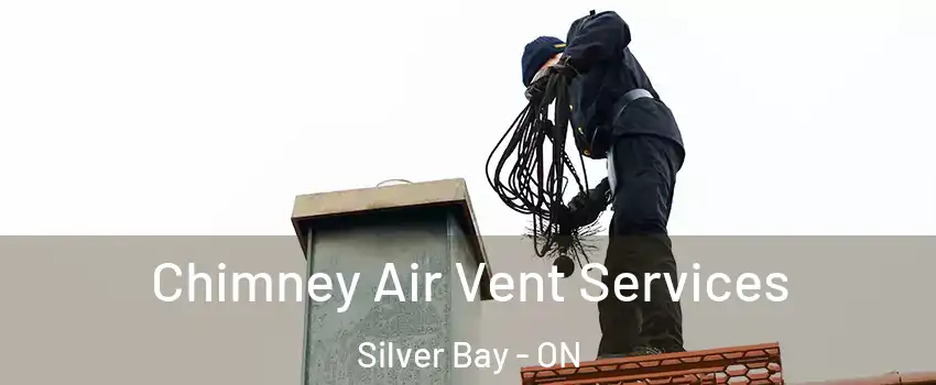 Chimney Air Vent Services Silver Bay - ON