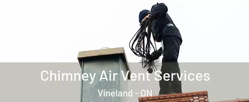 Chimney Air Vent Services Vineland - ON