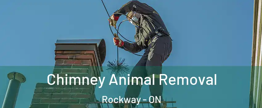  Chimney Animal Removal Rockway - ON