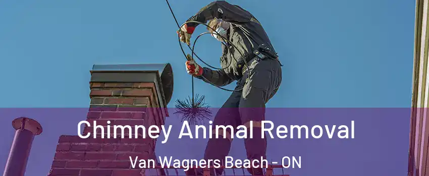  Chimney Animal Removal Van Wagners Beach - ON