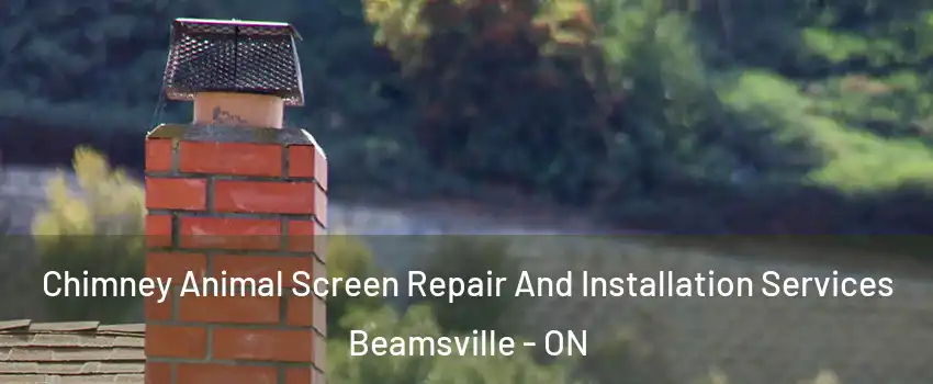  Chimney Animal Screen Repair And Installation Services Beamsville - ON