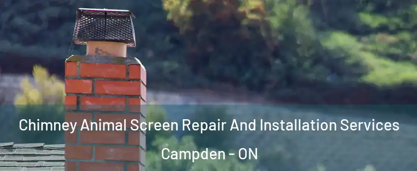  Chimney Animal Screen Repair And Installation Services Campden - ON