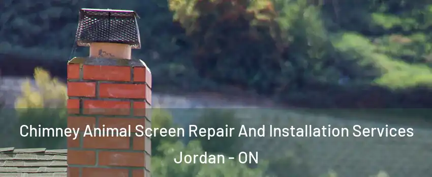 Chimney Animal Screen Repair And Installation Services Jordan - ON