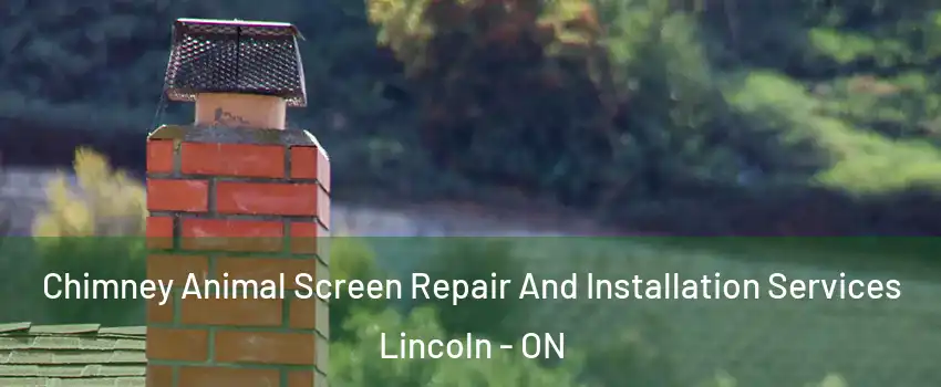  Chimney Animal Screen Repair And Installation Services Lincoln - ON