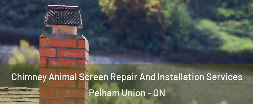 Chimney Animal Screen Repair And Installation Services Pelham Union - ON