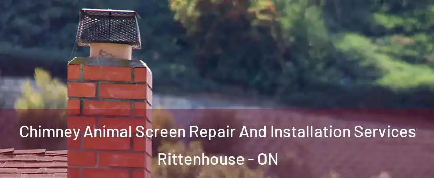  Chimney Animal Screen Repair And Installation Services Rittenhouse - ON