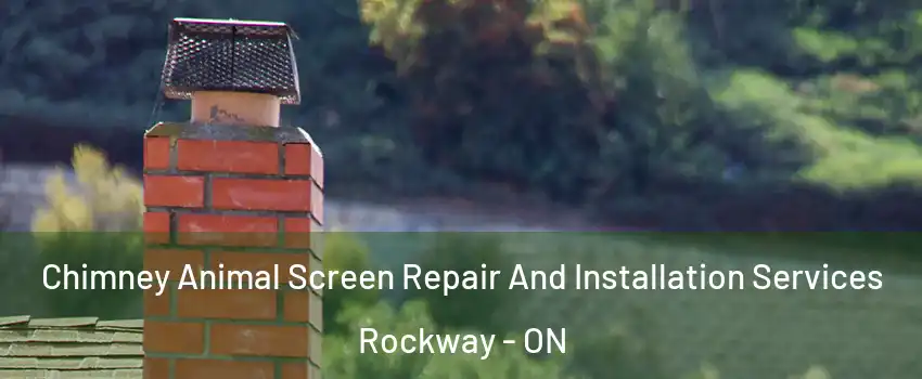  Chimney Animal Screen Repair And Installation Services Rockway - ON