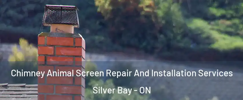  Chimney Animal Screen Repair And Installation Services Silver Bay - ON