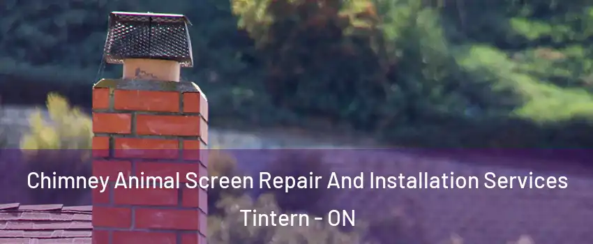  Chimney Animal Screen Repair And Installation Services Tintern - ON