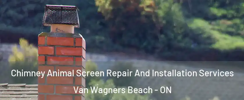  Chimney Animal Screen Repair And Installation Services Van Wagners Beach - ON