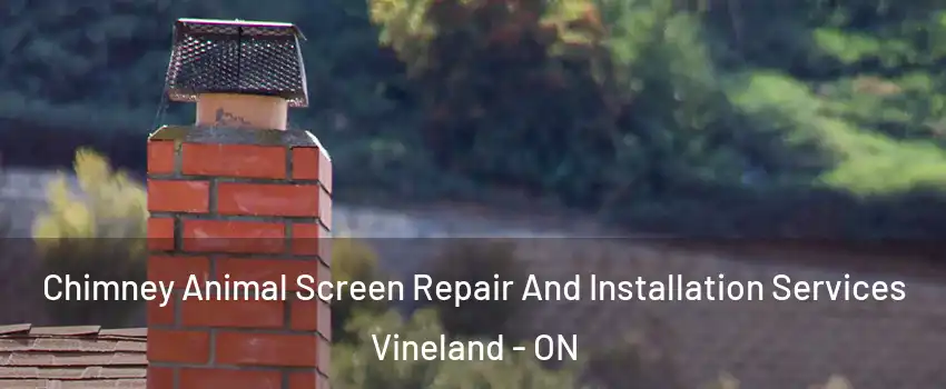  Chimney Animal Screen Repair And Installation Services Vineland - ON