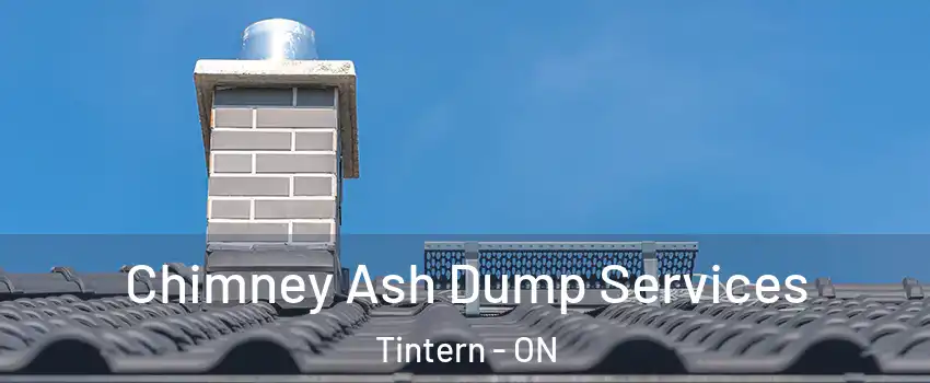  Chimney Ash Dump Services Tintern - ON