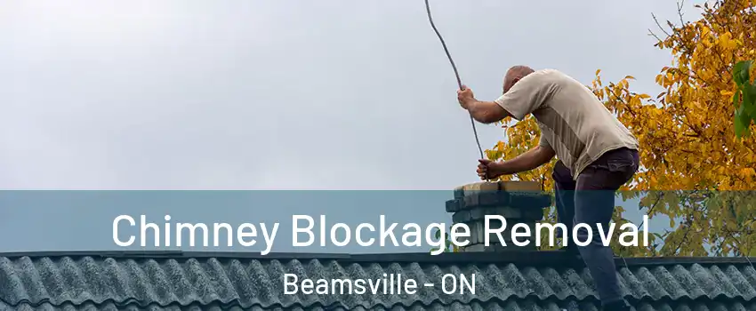  Chimney Blockage Removal Beamsville - ON