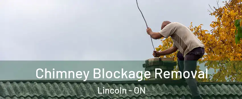  Chimney Blockage Removal Lincoln - ON