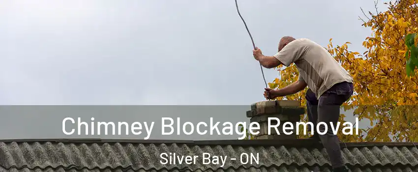  Chimney Blockage Removal Silver Bay - ON
