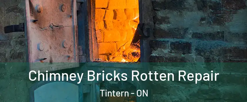 Chimney Bricks Rotten Repair Tintern - ON