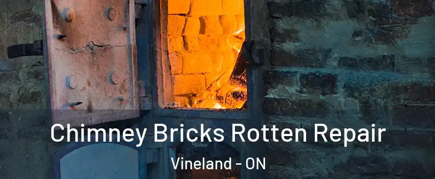  Chimney Bricks Rotten Repair Vineland - ON