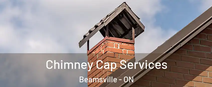  Chimney Cap Services Beamsville - ON