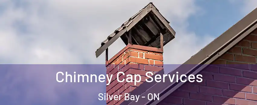 Chimney Cap Services Silver Bay - ON