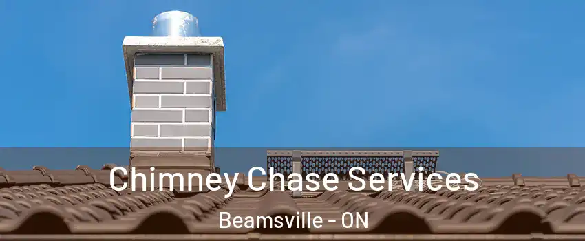  Chimney Chase Services Beamsville - ON