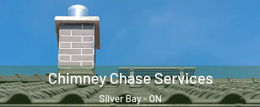  Chimney Chase Services Silver Bay - ON