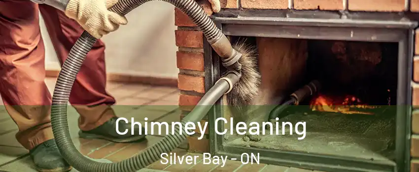 Chimney Cleaning Silver Bay - ON