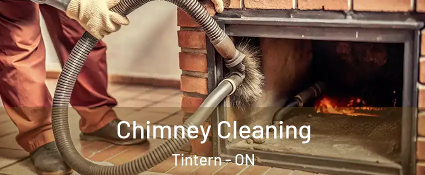 Chimney Cleaning Tintern - ON