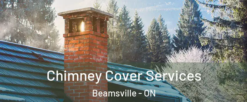  Chimney Cover Services Beamsville - ON