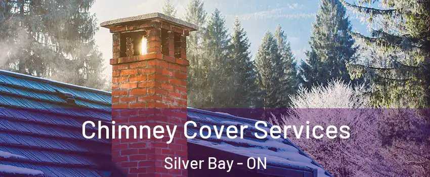  Chimney Cover Services Silver Bay - ON