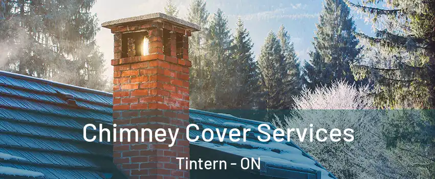  Chimney Cover Services Tintern - ON