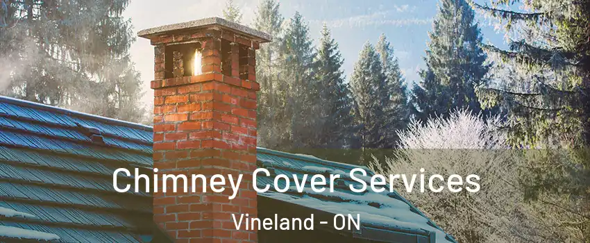  Chimney Cover Services Vineland - ON