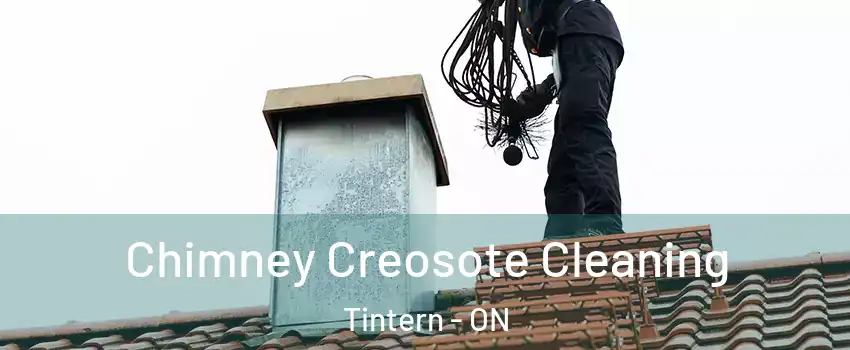 Chimney Creosote Cleaning Tintern - ON