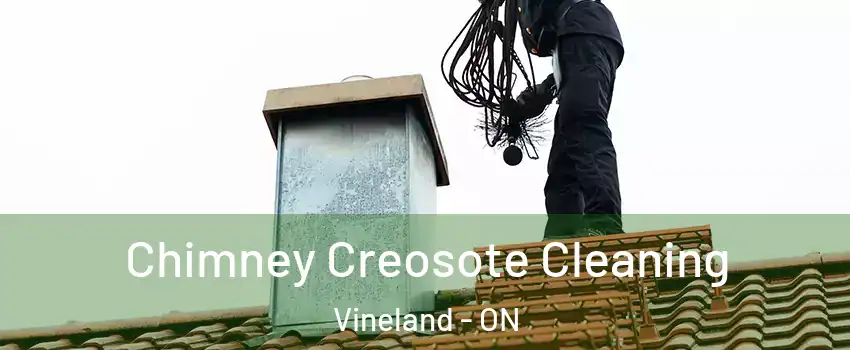  Chimney Creosote Cleaning Vineland - ON