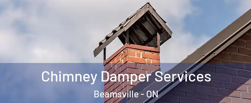 Chimney Damper Services Beamsville - ON