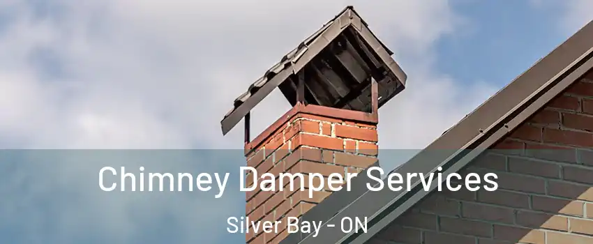 Chimney Damper Services Silver Bay - ON