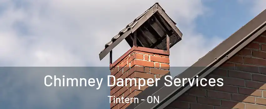 Chimney Damper Services Tintern - ON
