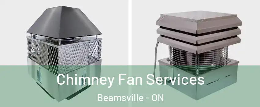 Chimney Fan Services Beamsville - ON