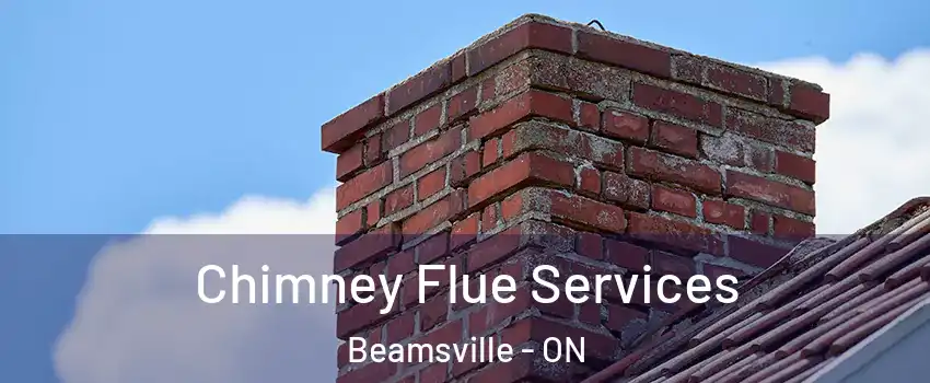 Chimney Flue Services Beamsville - ON