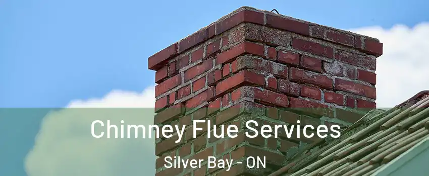 Chimney Flue Services Silver Bay - ON