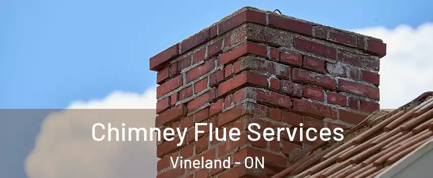 Chimney Flue Services Vineland - ON