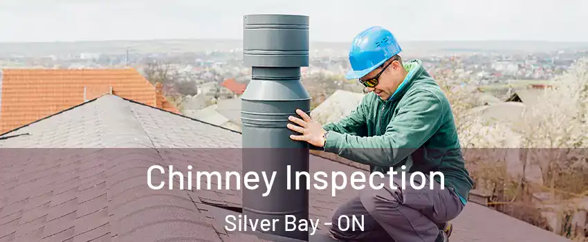 Chimney Inspection Silver Bay - ON