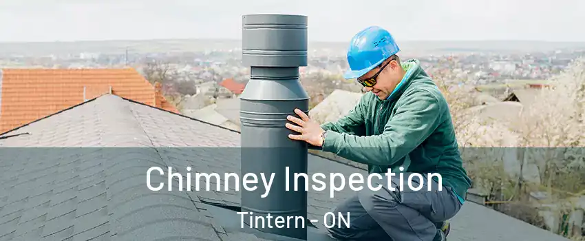 Chimney Inspection Tintern - ON