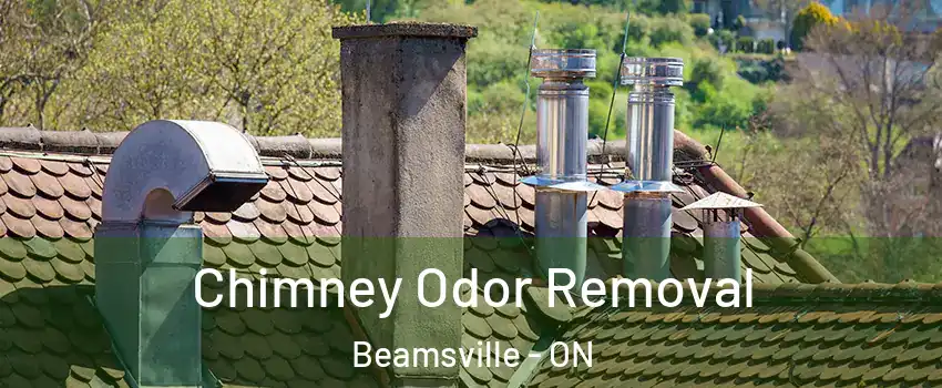 Chimney Odor Removal Beamsville - ON