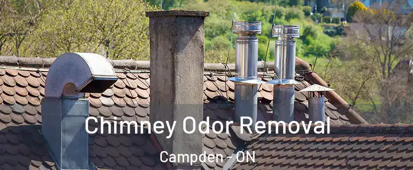  Chimney Odor Removal Campden - ON