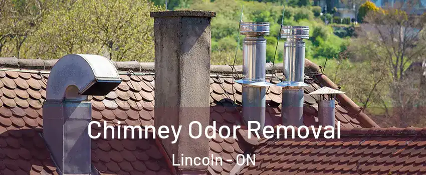  Chimney Odor Removal Lincoln - ON