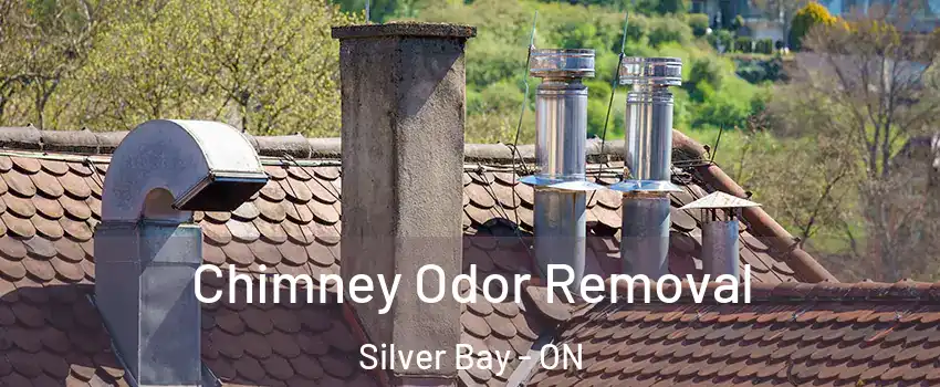 Chimney Odor Removal Silver Bay - ON