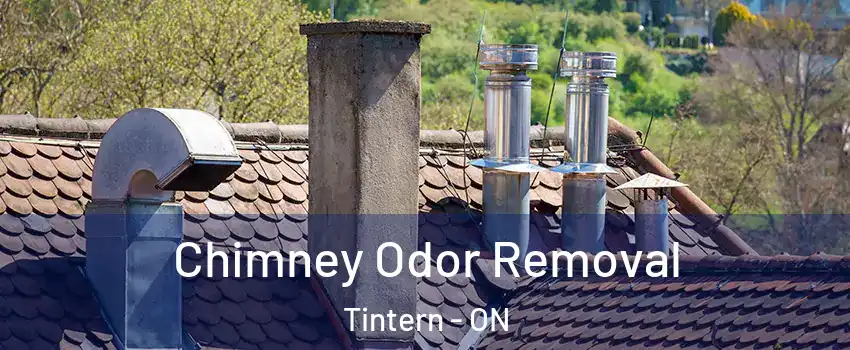 Chimney Odor Removal Tintern - ON