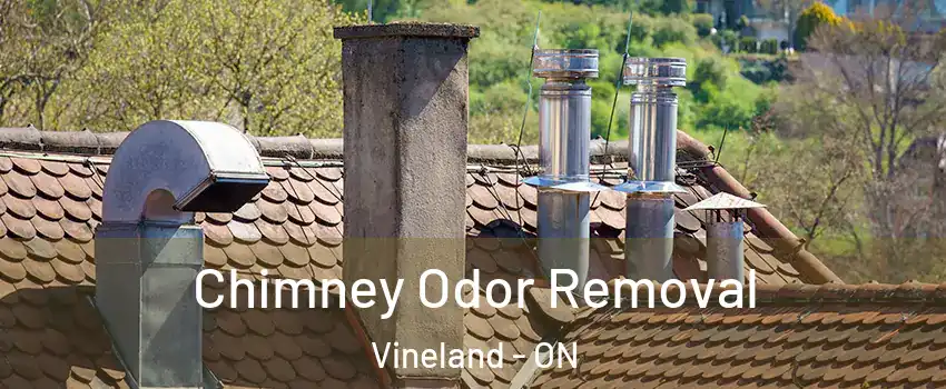 Chimney Odor Removal Vineland - ON